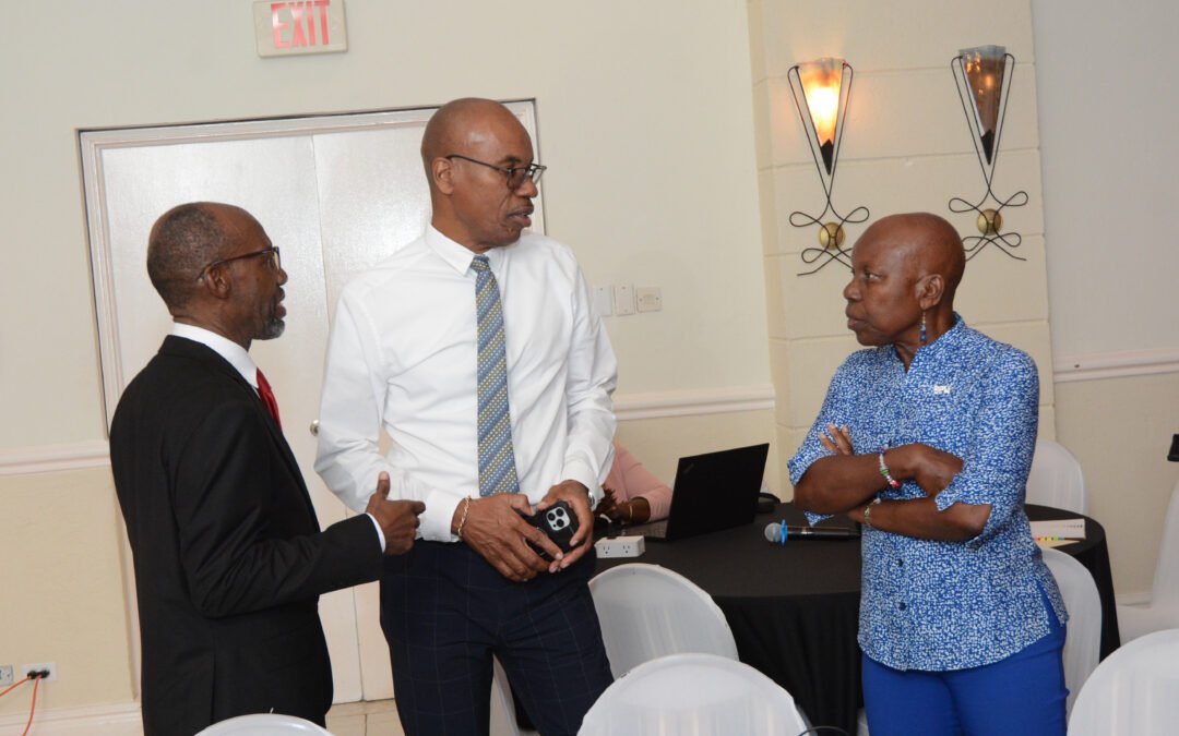 National Consultation on Domestic Violence
